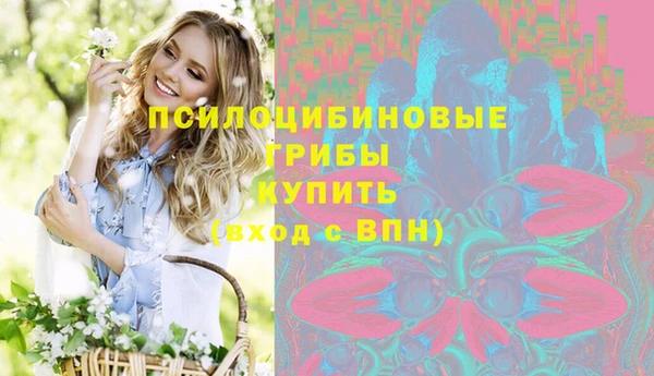 дмт Армянск