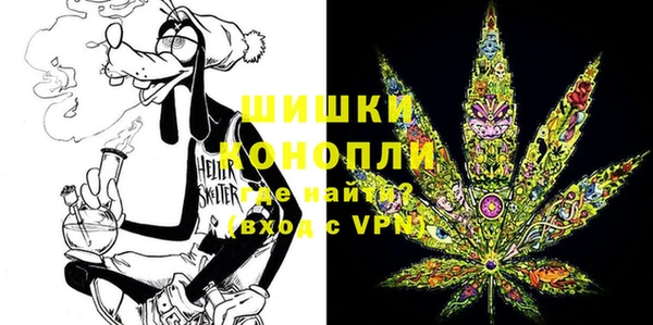 PSILOCYBIN Балабаново