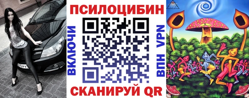 Псилоцибиновые грибы Psilocybine cubensis  Купить  Ленинградская 